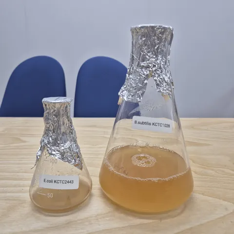서로 다른 배양 시료가 담긴 실험용 플라스크
